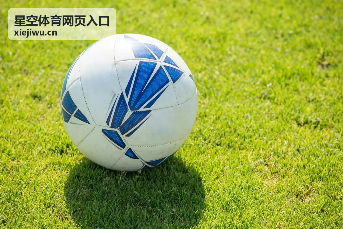 星空体育网页入口地址输入与核对方式的说明配图