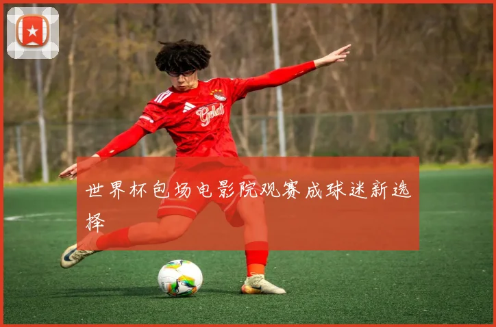 世界杯包场电影院观赛成球迷新选择